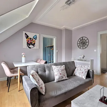 Ecrin Design Et Luxueux Bien Situe A Mulhouse