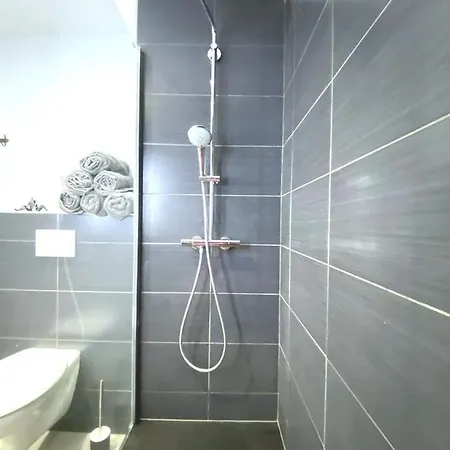 Ecrin Design Et Luxueux Bien Situe A Apartment Mulhouse